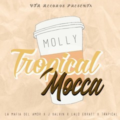 La Mafia Del Amor Vs Lalo Ebratt Feat. J Balvin & Trapical - Tropical Vs Mocca (Mike Gonzo Mashup)