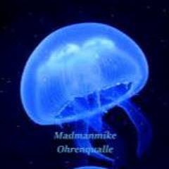 Madmanmike - Ohrenqualle