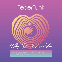 FederFunk - Why Do I Love You ( Original Mix ) OUT 28/02/2019