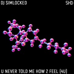 DJ Simlocked - u never told me how 2 feel (4u)