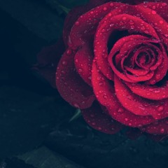 What a Wonderful World (Cover)