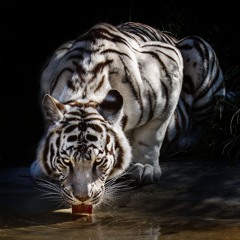 eradicate (prod. nonbruh)