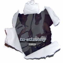 Tu - Stimony (testimony remix)