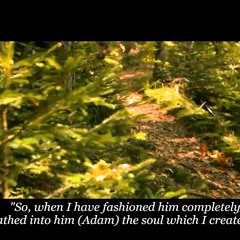 NEW | beautiful Quran recitation | heart soothing voice