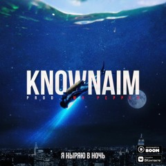 KnownAim & Mr. Pepper - Я ныряю в ночь