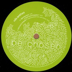 Nils Anthes - Lost Soul Chapter 1 - BECH 08 A2