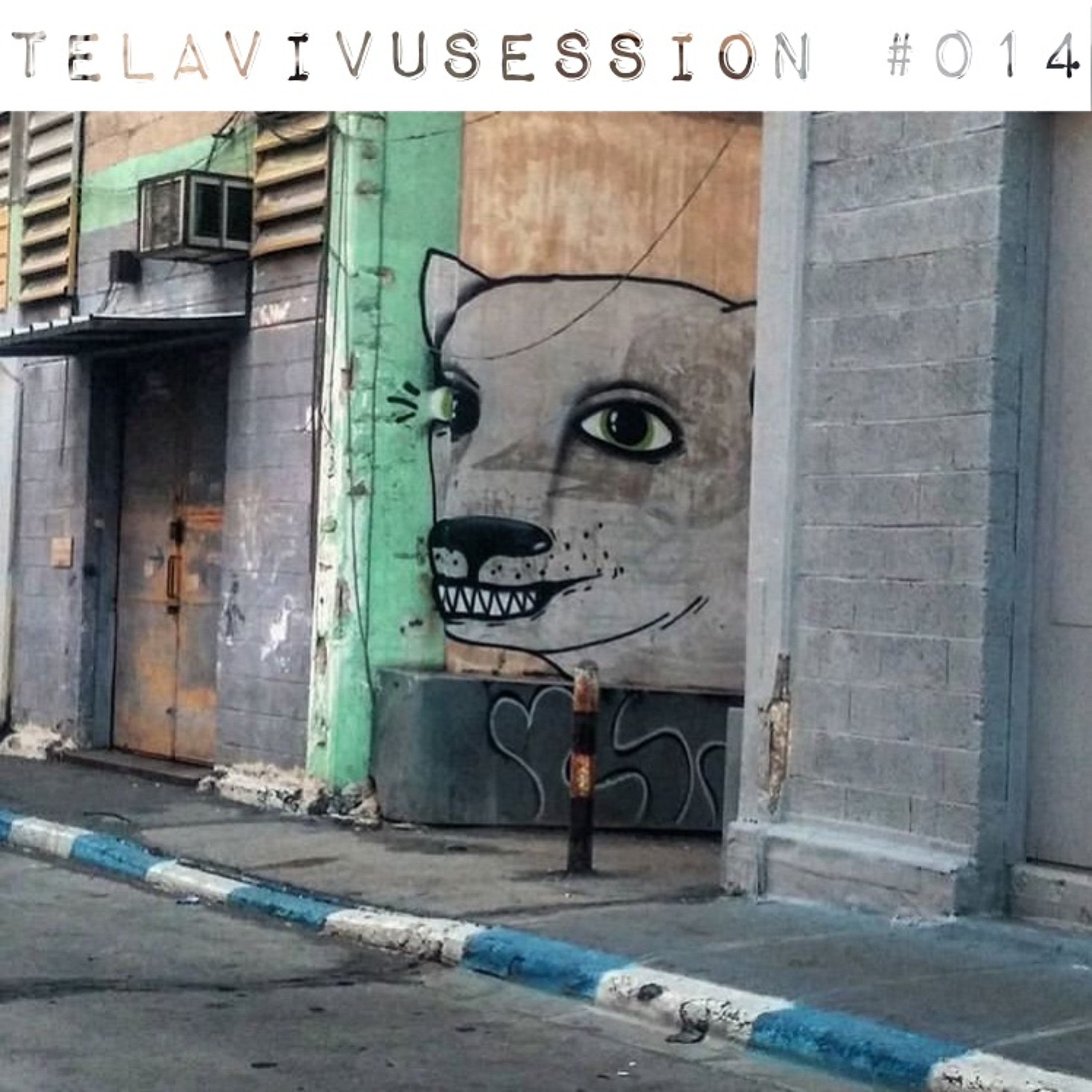 Who the Fuck is Vova Julev?