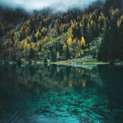 Fare Thee Well (cover)