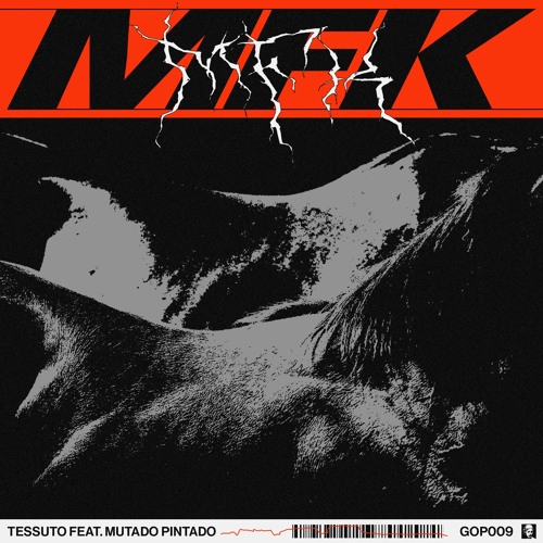 MFK (Virginia Remix)