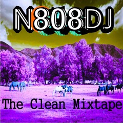 N808DJ - The Clean Mixtape VOL 777