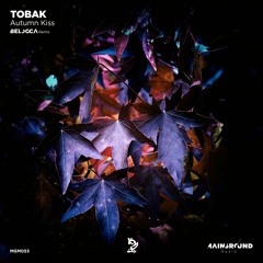 Tobak - Autumn Kiss (Belocca Remix)