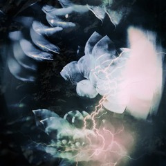 VVV - Secondhand Drifter