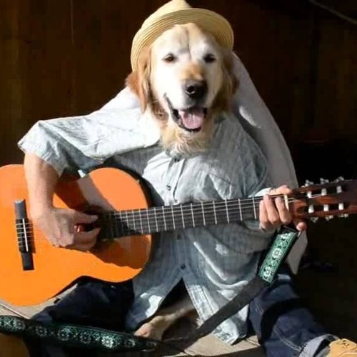 mac demarco this old dog google play