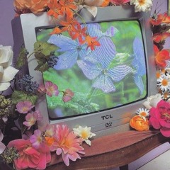 Jungle(Prod.room102 )