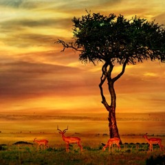 Deepdown - Melodeep (Test)