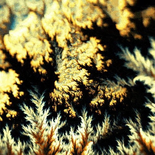 'WOK$TAR' (prod. whyzoo)