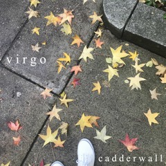 virgo (i heard that she's a)