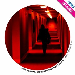 Katy B - Katy On A Mission (Gabriel F Edit) [LOVERS RMXS] | PREVIEW