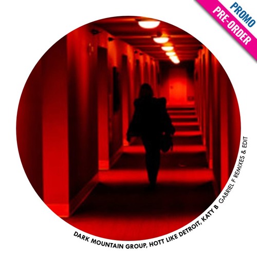 Katy B - Katy On A Mission (Gabriel F Edit) [LOVERS RMXS] | PREVIEW