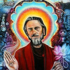 DMVU X ALAN WATTS