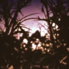you're tired of me (produced by clang)