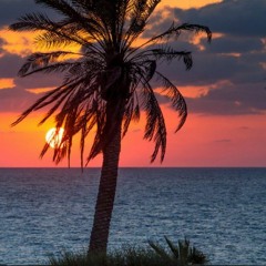 What should i do these days (part 1 & 2)