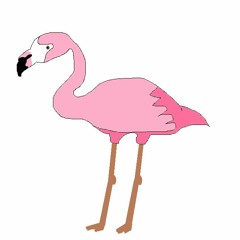 FLAMINGO EARRAPE
