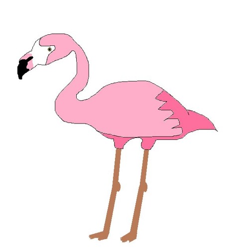 FLAMINGO EARRAPE