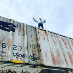 Z-Swan - Its Dangerous