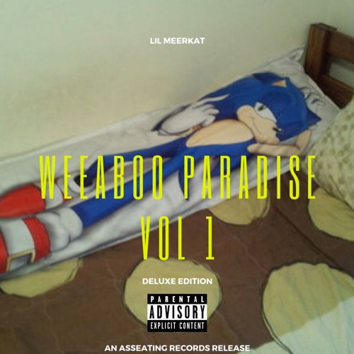 My Fanfiction (feat. Tom Sawyer) [Prod. Lil Fedora]