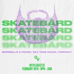 Skatebård in Portland, Oregon, February 16th 2019, first half of the set.