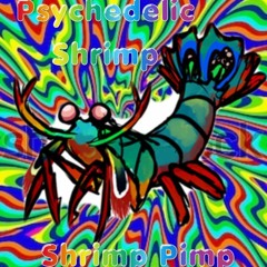 Psychedelic Shrimp