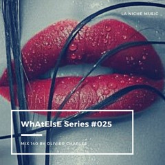WhAtElsE Series #025