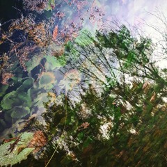 COMO LA FORMA DEL AGUA