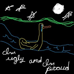 Duckling In The Rapids