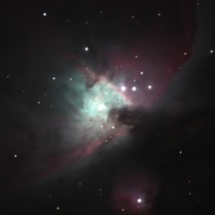 Steve Holt (No Basti Mix)