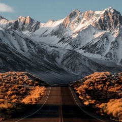 Oliver r. // The Other Path I Didn't Tread