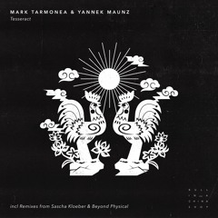 PREMIERE: Mark Tarmonea & Yannek Maunz - Tesseract (Beyond Physical Remix) [BullInAChinaShop]