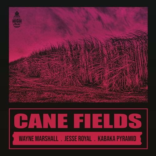 Natural High Ft Wayne Marshall X Jesse Royal X Kabaka Pyramid - Cane Fields