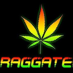 Ragga&Hardtek