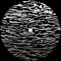 PREMIERE: Will Saul - Never Enough [Phonica]