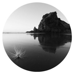 Timestalkerz Vinyl Only Set February 2019