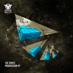 The Rares - Acid Progression (Original Mix)