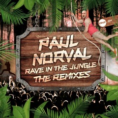 Paul Norval - Rave in the jungle Jamie B remix