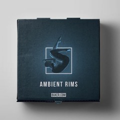 Ambient Rimshots // 100 One-Shot Samples