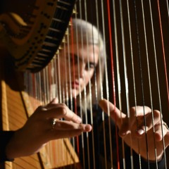 Introduction et allegro pour harp, flute, clarinette, et quatour a cordes - Maurice Ravel