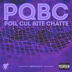 #PQBC (Poil Cul Bite Chatte)