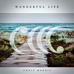 Wonderful Life