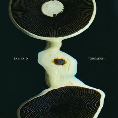 Zaliva-D - Forsaken [Knekelhuis]
