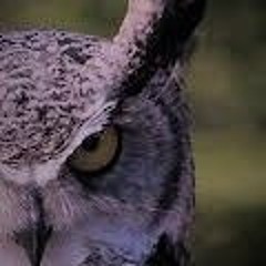 Thoes Who Love (remix) By Breeze Osia + victmolinaa